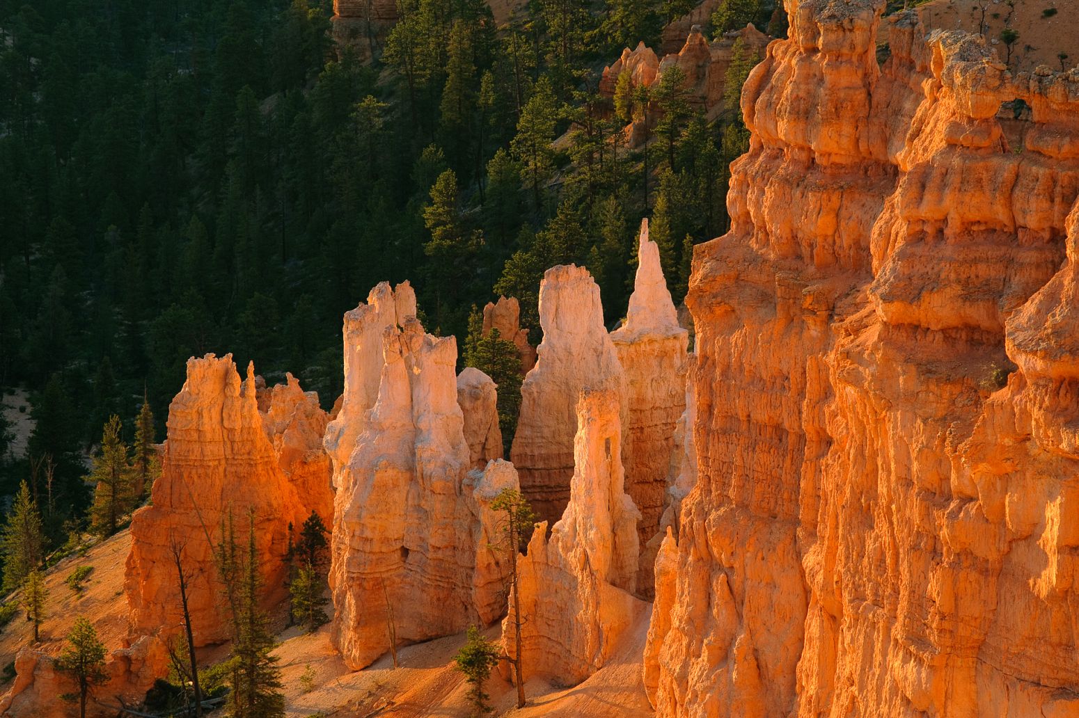 Bryce Canyon NP, Utah, USA